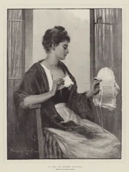 In the Cap Market, Boulogne